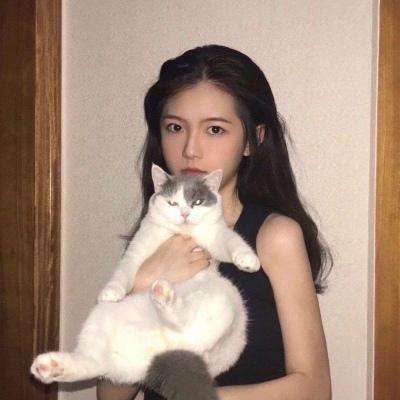 胶囊战斗汉化版下载